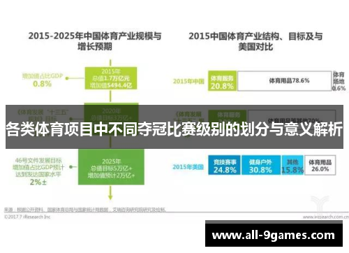 各类体育项目中不同夺冠比赛级别的划分与意义解析
