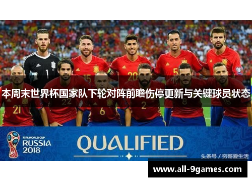 本周末世界杯国家队下轮对阵前瞻伤停更新与关键球员状态